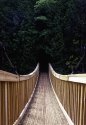 Before you Cross this bridge....