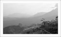 Home in the hills