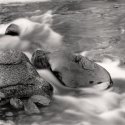 Outfall; Hurricane River