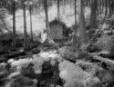 Douharataki Shrine in IR
