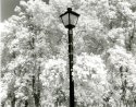 Street Light