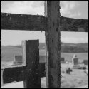 Crossi