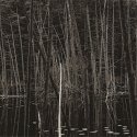 O'Neil Lake 4