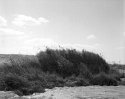 sand dune