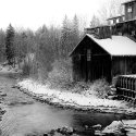 Industrialscape (Inactive woodmill)