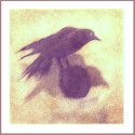 The Raven