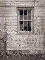 Window Detail