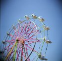 Marin County Fair 2