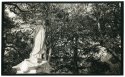 Oakwood Cemetery #11 - 12x20 pt/pd