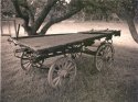 Retired cart