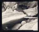 Gabriola 12