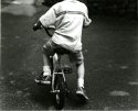 The Bike