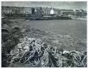 Craster Harbour
