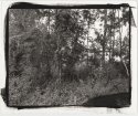 Montgomery County, PA 2007