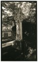 Oakwood Cemetery - 12x20 pt/pd print