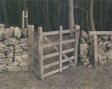 Forest Gate