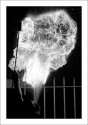 FIRE EATER