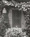 Lantern & Window