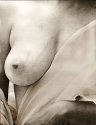 Lith breast
