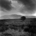 Machrie Moore
