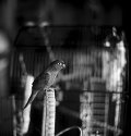 Zoey      "New TMAX 400 Reversal Process test"