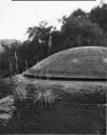 Grass and bunker