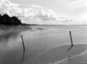 Foreshore