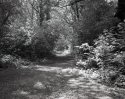 1st attempt and B&W developing 1