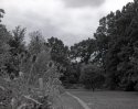 1st attempt and B&W developing 2