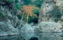 45rvp-m_pond_fall