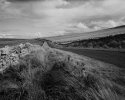 Rousay Road