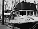 The Hasta