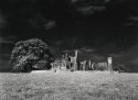 Bective Abbey