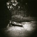 Pirogue on Cane Bayou