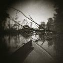 Cane Bayou 1