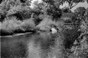 Four Mile Run 3