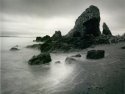 Black Isle Shore