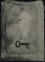Skull and Key