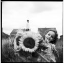 Sunflower Seeds, Marienfeld 2008
