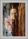 SPIRIT OF WOOD