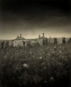 Crosses