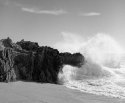 Sea of Cortez 2