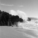 Sea of Cortez 3