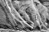 Northern Ohio Gathering 2008