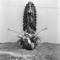 The Virgin of Guadalupe