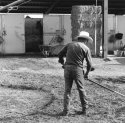 Raking