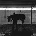 In the Test Barn