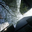 Skyward in Chicago