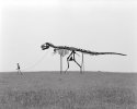 dinosaur-
