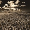 Carlton Peak